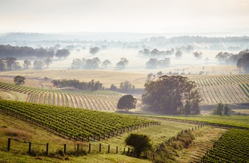 Hunter Valley i New South Wales